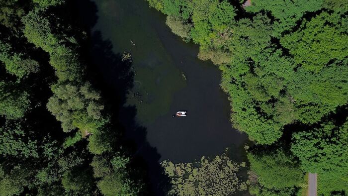 Overhead view of a measuring buoy in a floodplain pond, data transmission via LTE-M through the canopy.