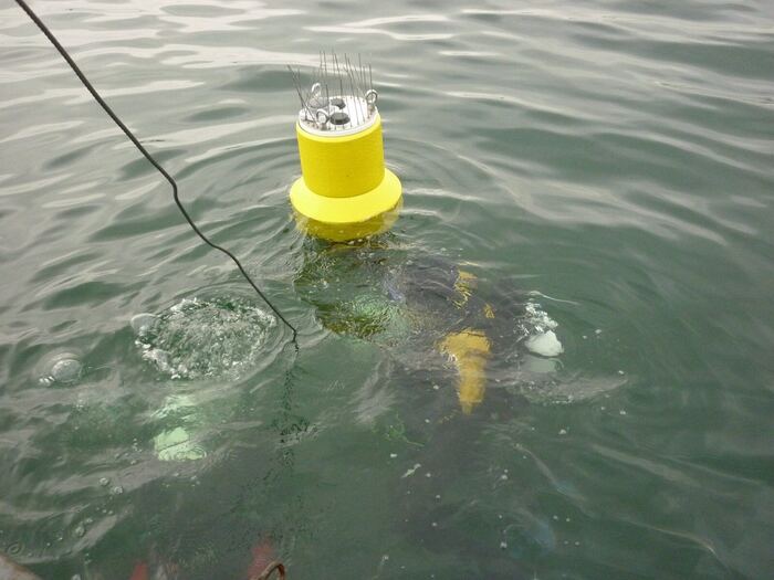 Gauge buoy on a lake: yellow float with antenna mount, service dive.