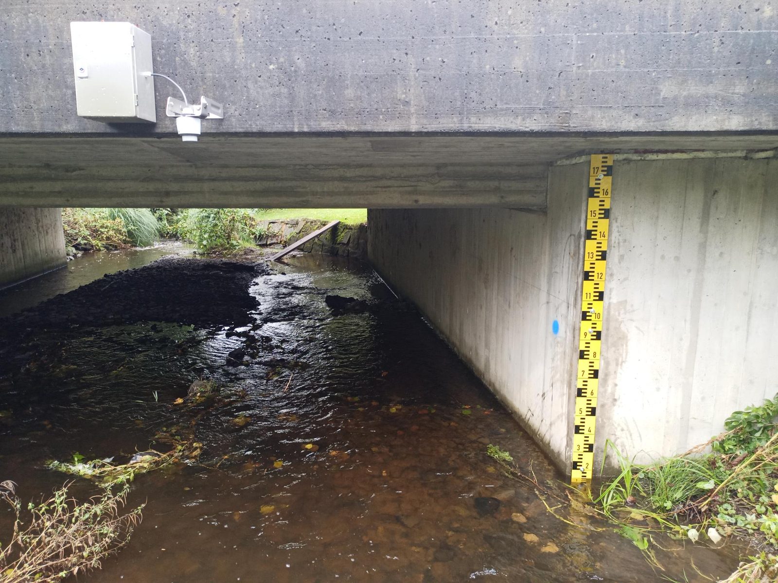 Pegelmessstelle an einem Bach unter einer Betonbrücke mit gelber Pegellatte